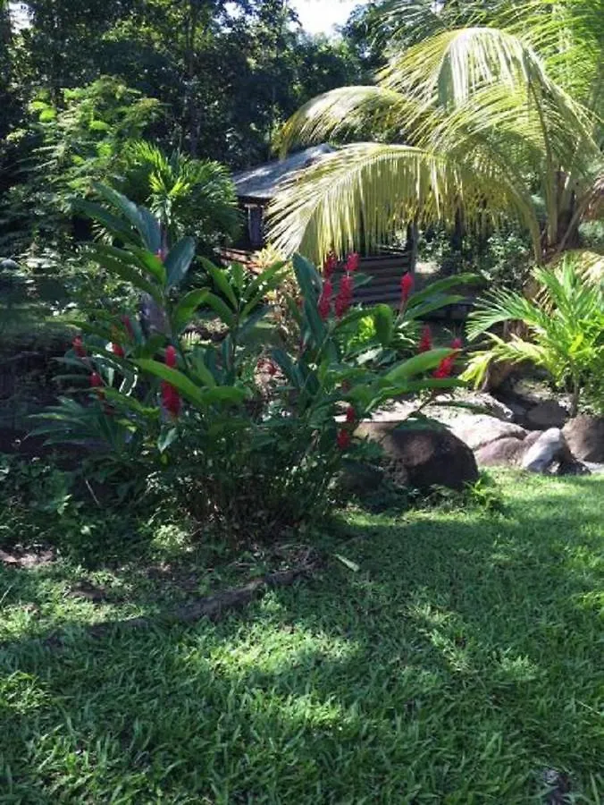 Maisons Forban Deshaies Guadeloupe